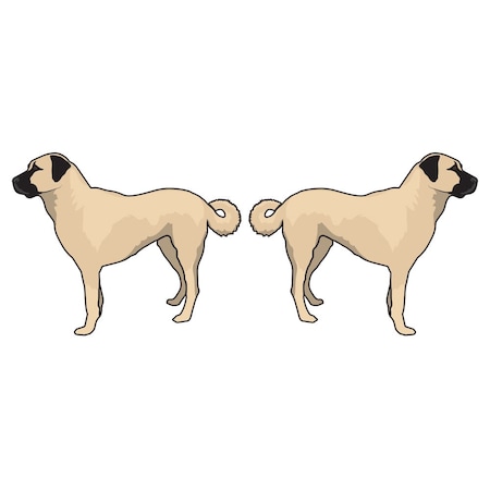 Signmission Anatolian Shepherd Dog Decal, Dog Lover Decor Vinyl Sticker D-18-Anatolian Shepherd